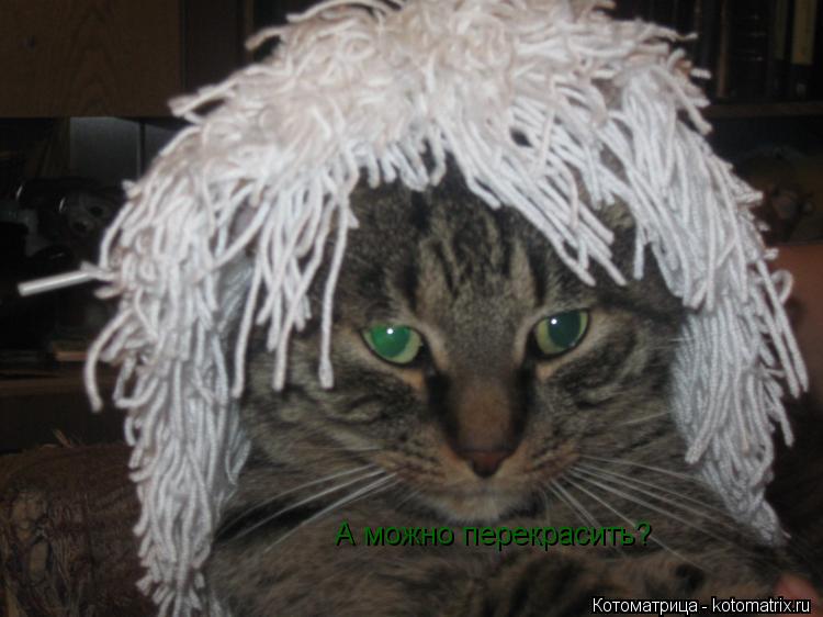 А можно перекрасить?... Котоматрица: А можно перекрасить?