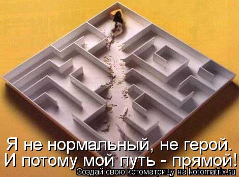 Я не нормальный, не герой. И потому мой путь - прямой!... Котоматрица: Я не нормальный, не герой. И потому мой путь - прямой!