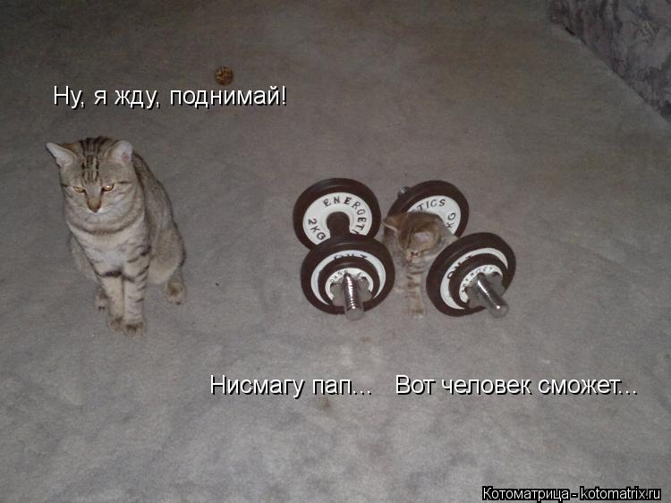Ну, я жду, поднимай! Ну, я жду, поднимай! Несмогу... Нисмагу пап... Нисмагу пап... Вот человек ... Котоматрица: Ну, я жду, поднимай! Ну, я жду, поднимай! Несмогу... Нисмагу пап... Нисмагу пап... Вот человек сможет...