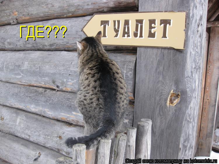 ГДЕ???... Котоматрица: ГДЕ???