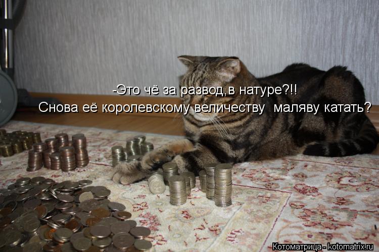 -Это чё за развод,в натуре?!! Снова её королевскому величеству маляву катать?... Котоматрица: -Это чё за развод,в натуре?!! Снова её королевскому величеству маляву катать?