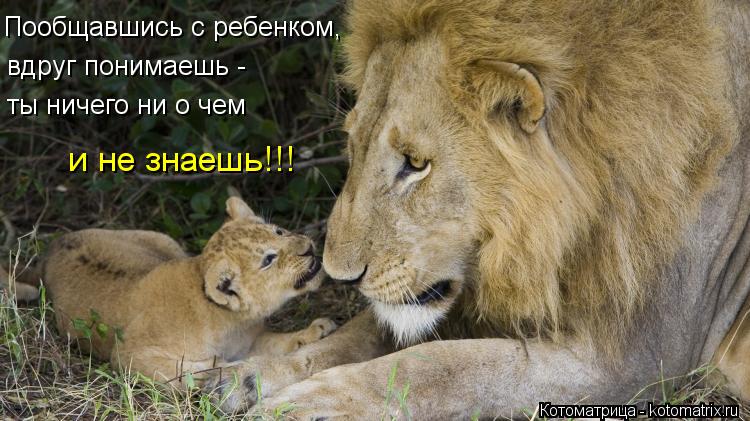 Пообщавшись с ребенком, вдруг понимаешь - ты ничего ни о чем и не знаешь!!!... Котоматрица: Пообщавшись с ребенком, вдруг понимаешь - ты ничего ни о чем и не знаешь!!!