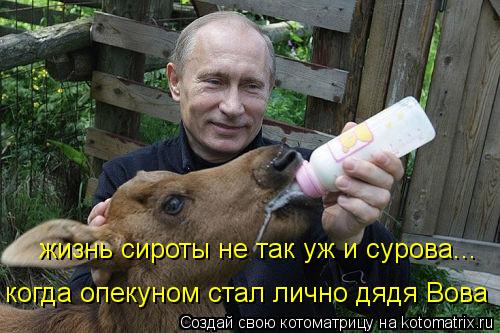 когда опекуном стал лично дядя Вова жизнь сироты не так уж и сурова...... Котоматрица: когда опекуном стал лично дядя Вова жизнь сироты не так уж и сурова...