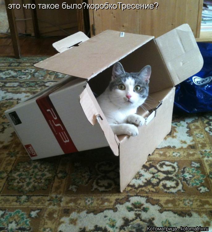 это что такое было?коробкоТресение?... Котоматрица: это что такое было?коробкоТресение?