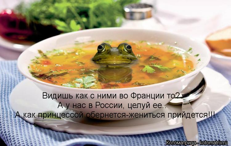 Видишь как с ними во Франции то? А у нас в России, целуй ее.. А как принцессой обернется-жениться при... Котоматрица: Видишь как с ними во Франции то? А у нас в России, целуй ее.. А как принцессой обернется-жениться прийдется!!!