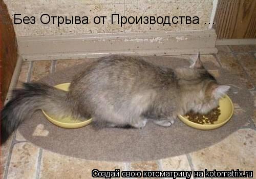 Без Отрыва от Производства ...... Котоматрица: Без Отрыва от Производства ...