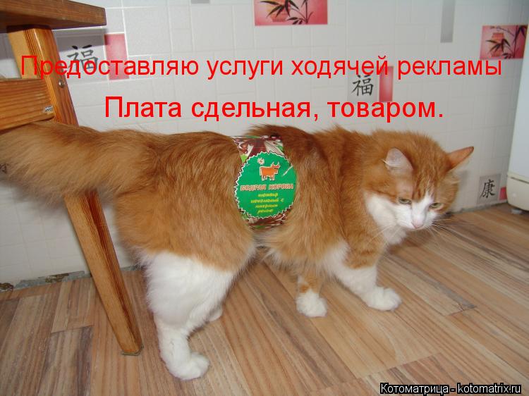Плата сдельная, товаром. Предоставляю услуги ходячей рекламы... Котоматрица: Плата сдельная, товаром. Предоставляю услуги ходячей рекламы