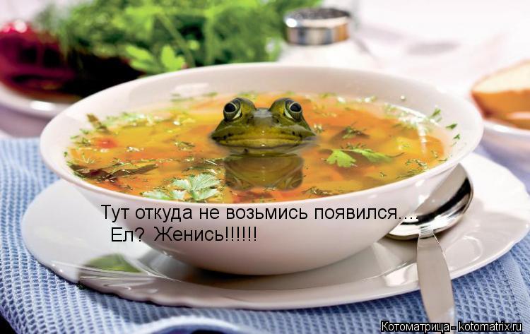 Тут откуда не возьмись появился.... Ел? Женись!!!!!!... Котоматрица: Тут откуда не возьмись появился.... Ел? Женись!!!!!!