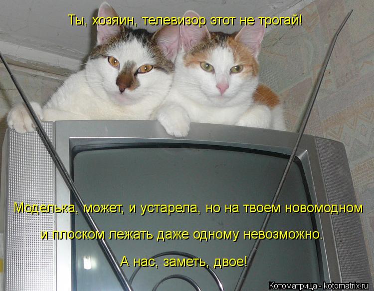 Ты, хозяин, телевизор этот не трогай! Моделька, может, и устарела, но на твоем новомодном и плоском л... Котоматрица: Ты, хозяин, телевизор этот не трогай! Моделька, может, и устарела, но на твоем новомодном и плоском лежать даже одному невозможно. А нас, заме
