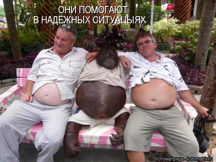 Котоматрица: ОНИ ПОМОГАЮТ  В НАДЁЖНЫХ СИТУАЦЫЯХ