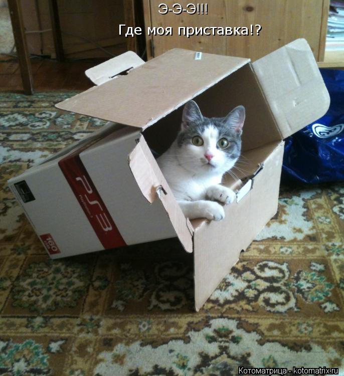 Э-Э-Э!!! Где моя приставка!?... Котоматрица: Э-Э-Э!!! Где моя приставка!?