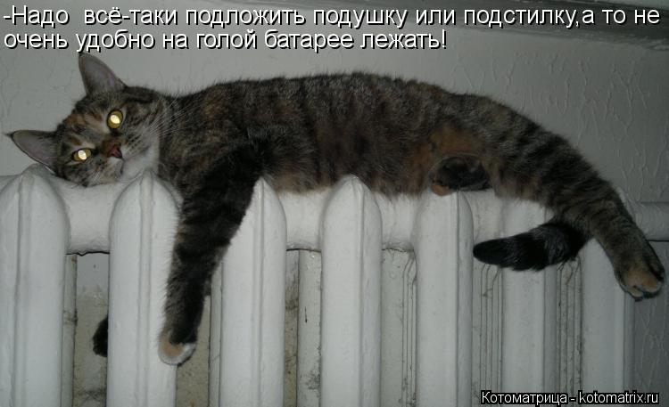 -Надо всё-таки подложить подушку или подстилку,а то не очень удобно на голой батарее лежать!... Котоматрица: -Надо всё-таки подложить подушку или подстилку,а то не очень удобно на голой батарее лежать!