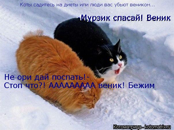 -Мурзик спасай! Веник -Мурзик спасай! Веник Не ори дай поспать!- Стоп что?! ААААААААА веник! Бежим Ко... Котоматрица: -Мурзик спасай! Веник -Мурзик спасай! Веник Не ори дай поспать!- Стоп что?! ААААААААА веник! Бежим Коты садитесь на диеты или люди вас убьют ве