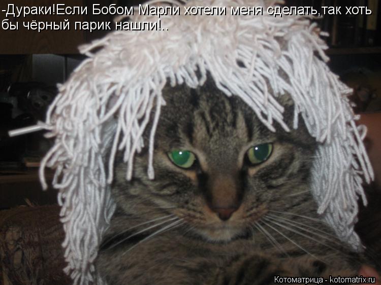 -Дураки!Если Бобом Марли хотели меня сделать,так хоть бы чёрный парик нашли!..... Котоматрица: -Дураки!Если Бобом Марли хотели меня сделать,так хоть бы чёрный парик нашли!..