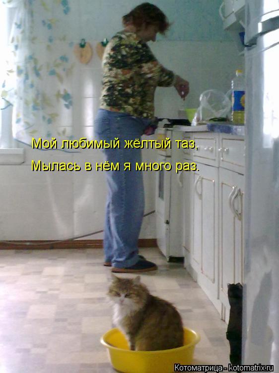 Мой любимый жёлтый таз, Мылась в нём я много раз.... Котоматрица: Мой любимый жёлтый таз, Мылась в нём я много раз.