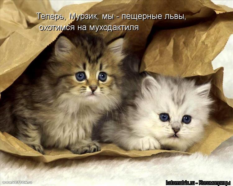 Теперь, Мурзик, мы - пещерные львы, охотимся на муходактиля... Котоматрица: Теперь, Мурзик, мы - пещерные львы, охотимся на муходактиля