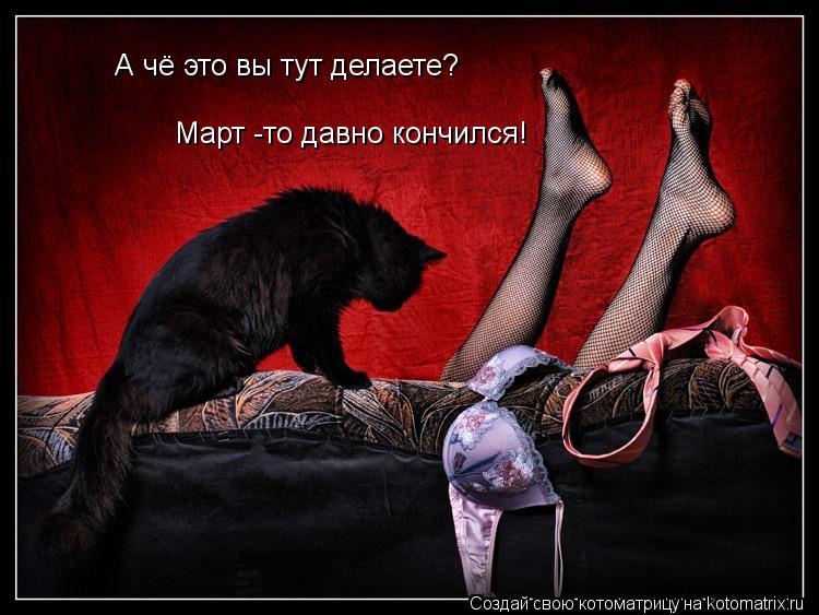 А чё это вы тут делаете? Март -то давно кончился!... Котоматрица: А чё это вы тут делаете? Март -то давно кончился!