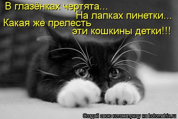 Котоматрица: В глазёнках чертята... Какая же прелесть эти кошкины детки!!! На лапках пинетки...