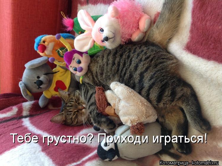 Тебе грустно? Приходи играться!... Котоматрица: Тебе грустно? Приходи играться!
