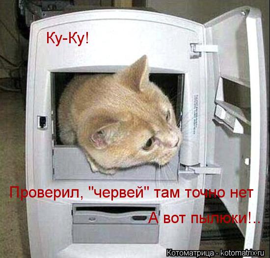 Ку-Ку! Проверил, "червей" там точно нет А вот пылюки!..... Котоматрица: Ку-Ку! Проверил, "червей" там точно нет А вот пылюки!..