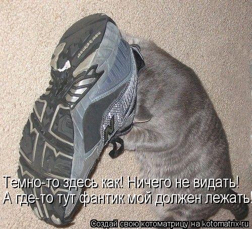 Котоматрица: А где-то тут фантик мой должен лежать! Темно-то здесь как! Ничего не видать!