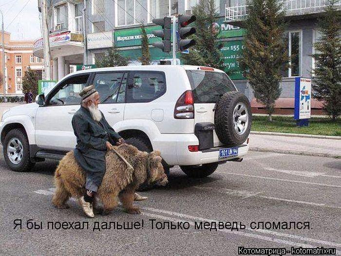Я бы поехал дальше! Только медведь сломался.... Котоматрица: Я бы поехал дальше! Только медведь сломался.