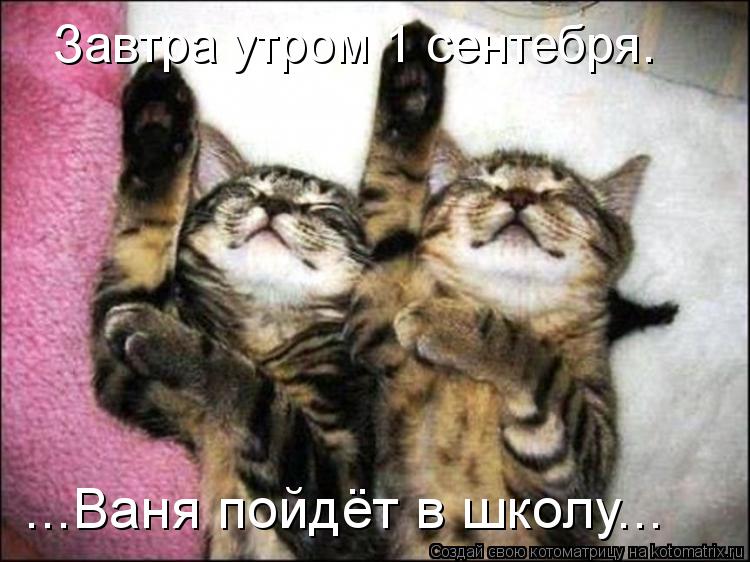 ...Ваня пойдёт в школу... Завтра утром 1 сентебря.... Котоматрица: ...Ваня пойдёт в школу... Завтра утром 1 сентебря.