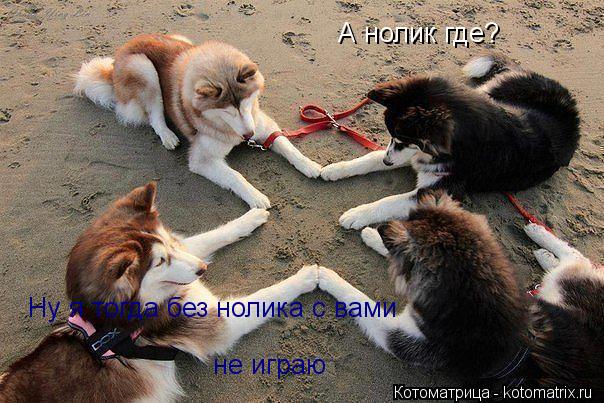 А нолик где? Ну я тогда без нолика с вами не играю... Котоматрица: А нолик где? Ну я тогда без нолика с вами не играю