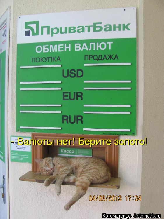 - Валюты нет! Берите золото!... Котоматрица: - Валюты нет! Берите золото!