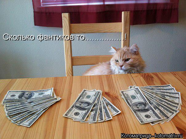 Котоматрица: Сколько фантиков то................!