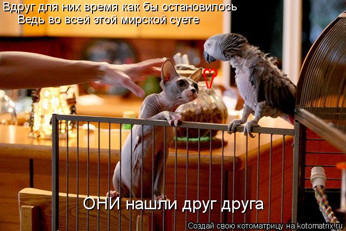 Вдруг для них время как бы остановилось Ведь во всей этой мирской суете ОНИ нашли друг друга 3 \/... Котоматрица: Вдруг для них время как бы остановилось Ведь во всей этой мирской суете ОНИ нашли друг друга 3 \/