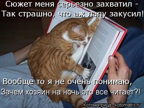 Котоматрица: Сюжет меня серьезно захватил - Так страшно, что аж лапу закусил! Вообще то я не очень понимаю, Зачем хозяин на ночь это все читает?!