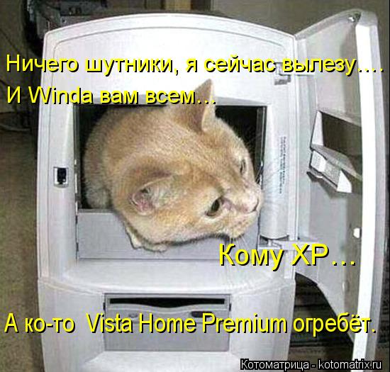 kotomatritsa_Hw.jpg