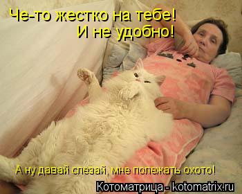 Че-то жестко на тебе! И не удобно! А ну давай слезай, мне полежать охото!... Котоматрица: Че-то жестко на тебе! И не удобно! А ну давай слезай, мне полежать охото!