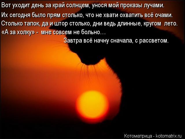 Котоматрица: Вот уходит день за край солнцем, унося мой проказы лучами. Их сегодня было прям столько, что не хвати охватить всё очами. Столько тапок, да и 