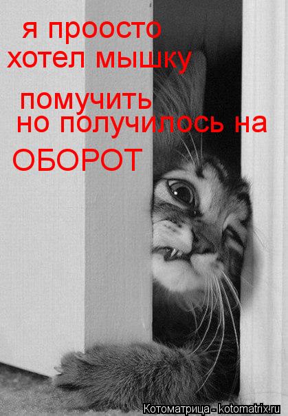 я проосто хотел мышку помучить но получилось на ОБОРОТ... Котоматрица: я проосто хотел мышку помучить но получилось на ОБОРОТ