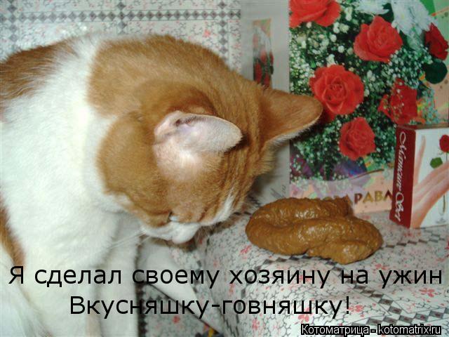 Котоматрица: Я сделал своему хозяину на ужин Вкусняшку-говняшку!