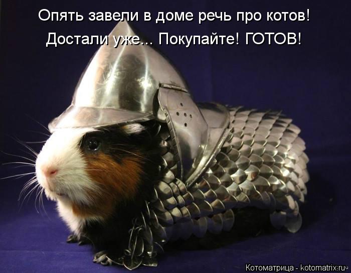 Опять завели в доме речь про котов! Достали уже... Покупайте! ГОТОВ!... Котоматрица: Опять завели в доме речь про котов! Достали уже... Покупайте! ГОТОВ!