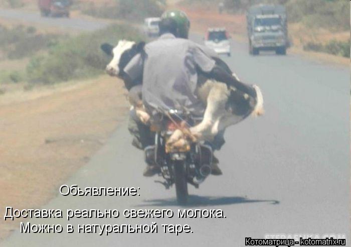 Доставка реально свежего молока. Можно в натуральной таре. Обьявление:... Котоматрица: Доставка реально свежего молока. Можно в натуральной таре. Обьявление: