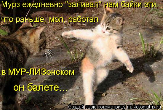 Котоматрица: Мурз ежедневно "заливал" нам байки эти, что раньше, мол, работал в МУР-ЛИЗонском он балете...