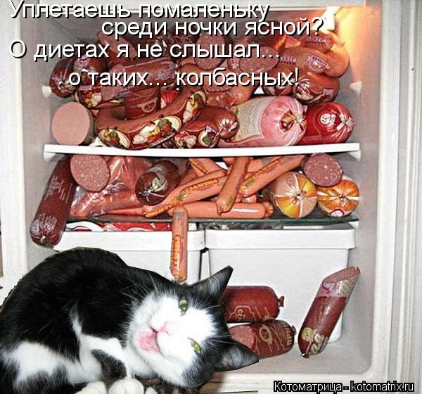 Котоматрица: Уплетаешь помаленьку  среди ночки ясной? О диетах я не слышал...  о таких... колбасных!