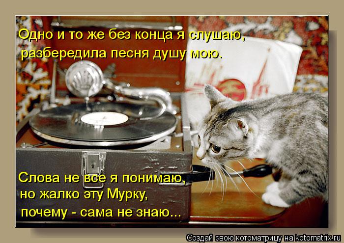 Слова не все я понимаю, но жалко эту Мурку, почему - сама не знаю... Одно и то же без конца я слушаю,... Котоматрица: Слова не все я понимаю, но жалко эту Мурку, почему - сама не знаю... Одно и то же без конца я слушаю, разбередила песня душу мою.