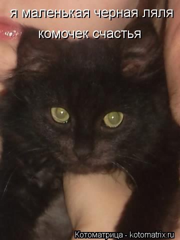 я маленькая черная ляля комочек счастья... Котоматрица: я маленькая черная ляля комочек счастья