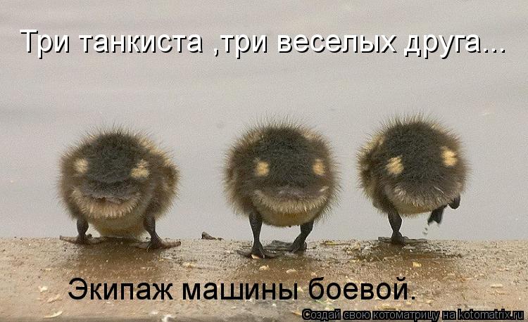 Котоматрица: Три танкиста ,три веселых друга...  Экипаж машины боевой.