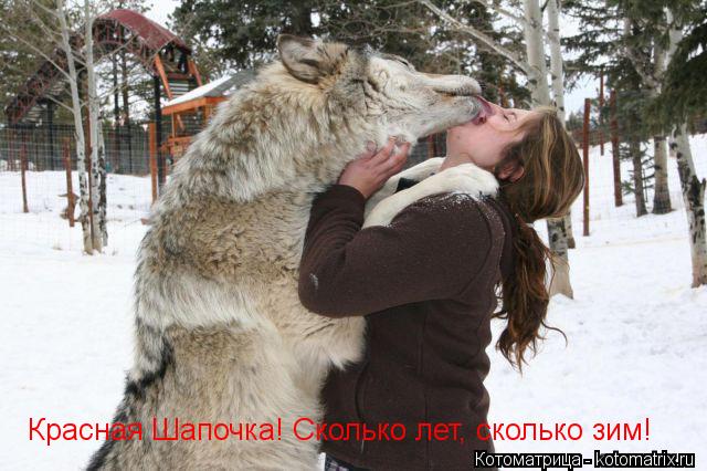 Котоматрица: Красная Шапочка! Сколько лет, сколько зим!