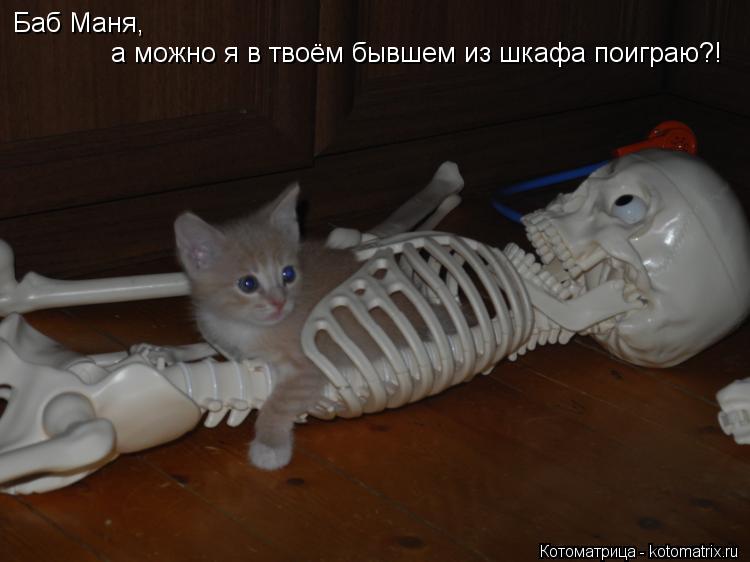 Котоматрица: Баб Маня, а можно я в твоём бывшем из шкафа поиграю?!