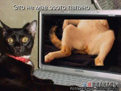 Это не маё эээто папино... Котоматрица: Это не маё эээто папино