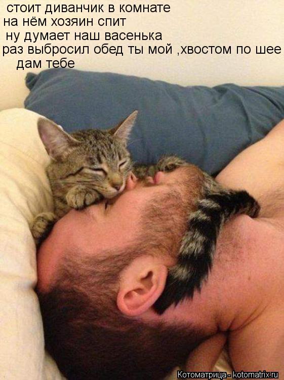 Котоматрица: стоит диванчик в комнате на нём хозяин спит ну думает наш васенька раз выбросил обед ты мой ,хвостом по шее дам тебе