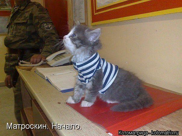 Котоматрица: Матроскин. Начало.