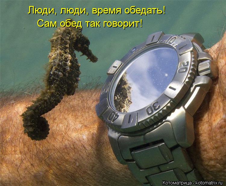 Котоматрица: Люди, люди, время обедать! Сам обед так говорит!